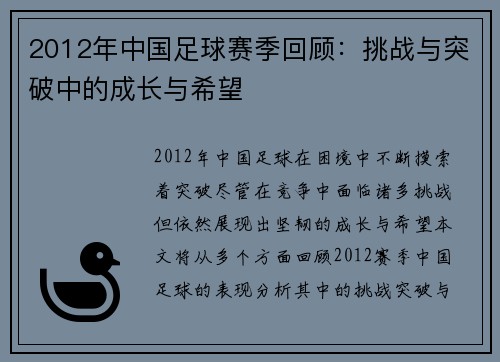 2012年中国足球赛季回顾：挑战与突破中的成长与希望