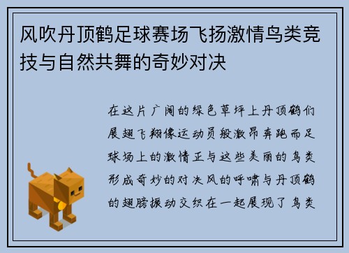风吹丹顶鹤足球赛场飞扬激情鸟类竞技与自然共舞的奇妙对决