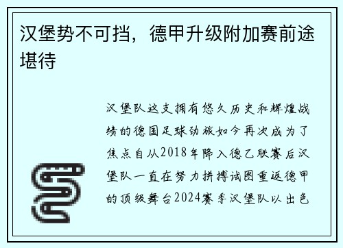汉堡势不可挡，德甲升级附加赛前途堪待