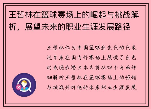 王哲林在篮球赛场上的崛起与挑战解析，展望未来的职业生涯发展路径
