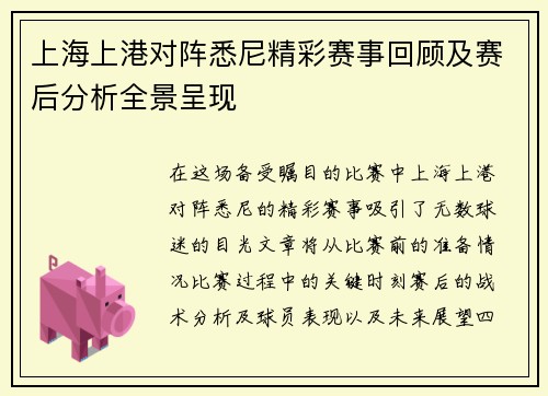 上海上港对阵悉尼精彩赛事回顾及赛后分析全景呈现