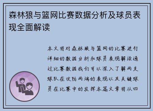 森林狼与篮网比赛数据分析及球员表现全面解读