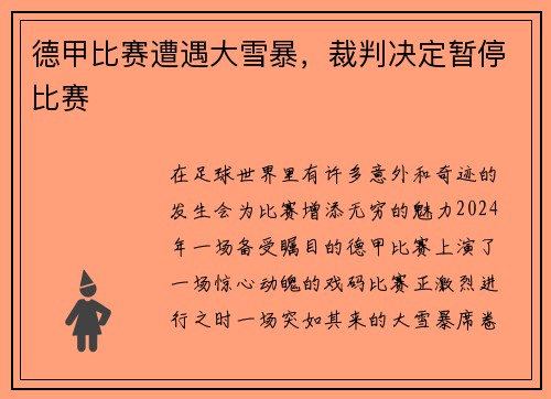 德甲比赛遭遇大雪暴，裁判决定暂停比赛